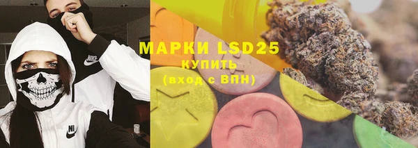гашик Алексеевка