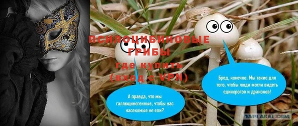 a pvp Алзамай
