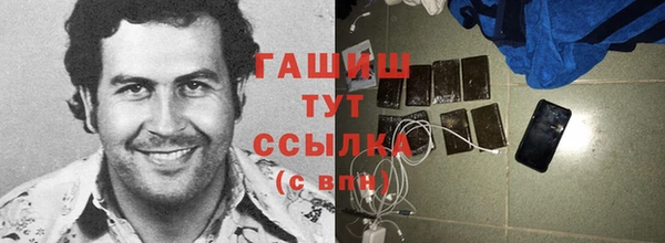 гашик Алексеевка